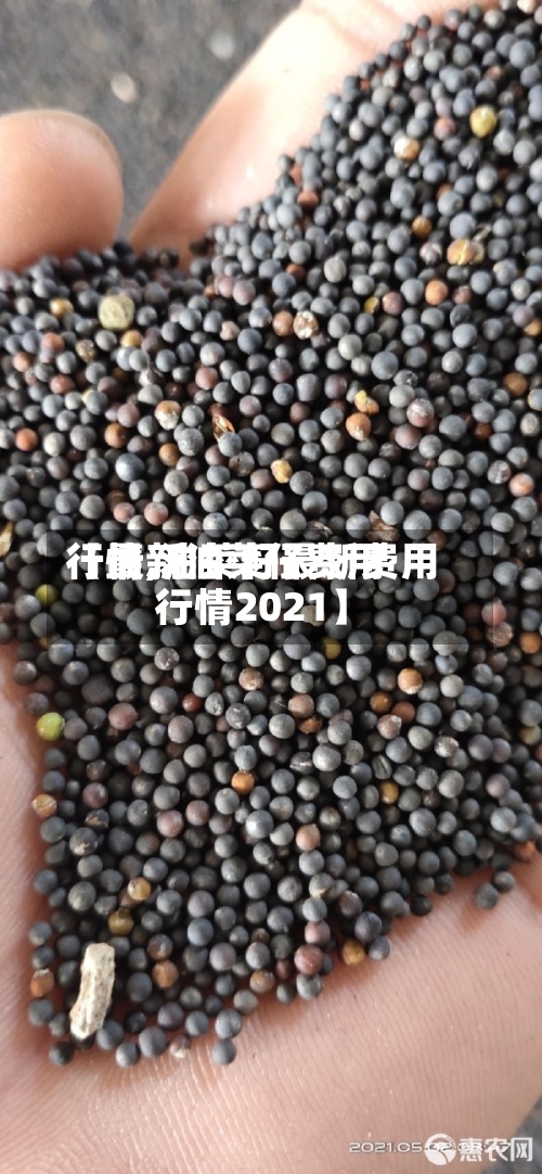 【最新油菜仔费用
行情,油菜籽最新费用
行情2021】-第2张图片