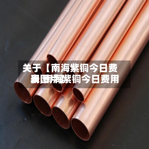 关于【南海紫铜今日费用
表,南海紫铜今日费用
表图片】-第2张图片