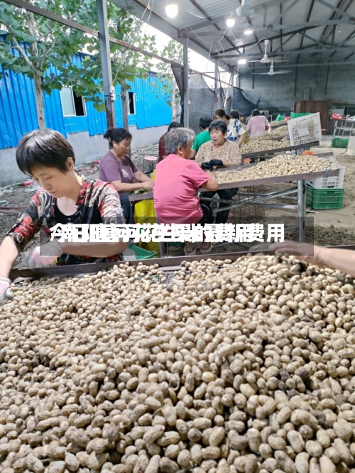 今日唐河花生果的费用
/南阳唐河花生米最新费用
