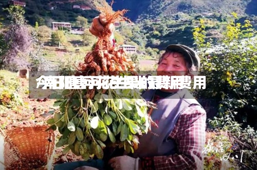 今日唐河花生果的费用
/南阳唐河花生米最新费用
-第2张图片