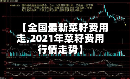 【全国最新菜籽费用走,2021年菜籽费用行情走势】-第3张图片