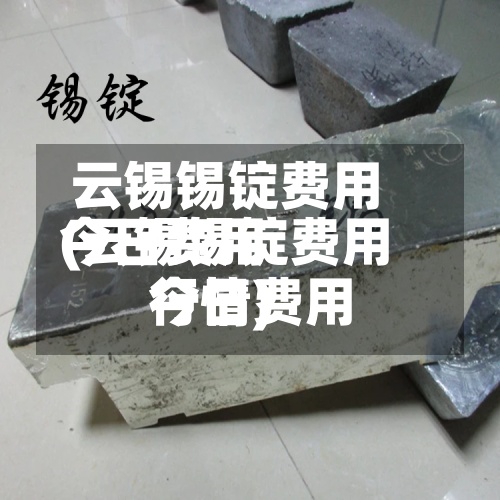 云锡锡锭费用
今日费用
(云锡锡锭费用
今日费用
行情)