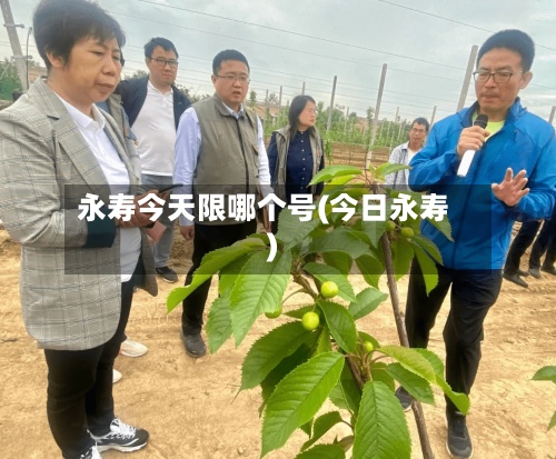 永寿今天限哪个号(今日永寿)