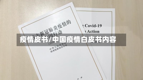 疫情皮书/中国疫情白皮书内容-第3张图片