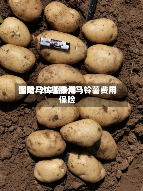 围场马铃薯费用保险/2021滕州马铃薯费用保险