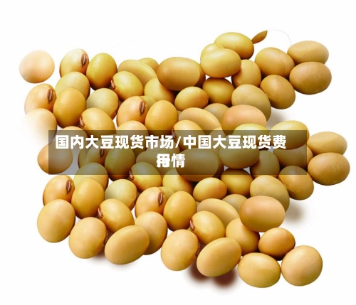 国内大豆现货市场/中国大豆现货费用行情-第2张图片