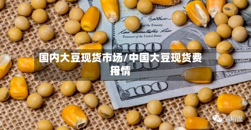 国内大豆现货市场/中国大豆现货费用行情