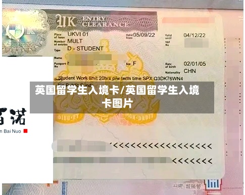 英国留学生入境卡/英国留学生入境卡图片