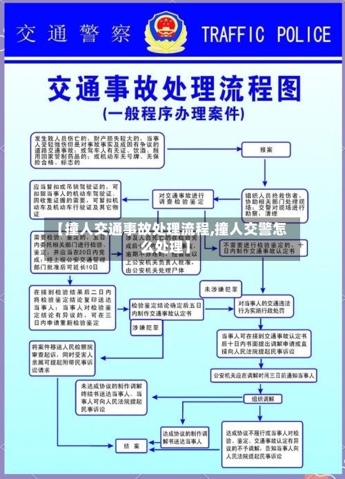 【撞人交通事故处理流程,撞人交警怎么处理】