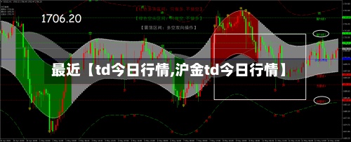 最近【td今日行情,沪金td今日行情】-第2张图片