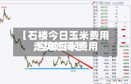【石楼今日玉米费用
,今年玉米费用
走势如何】