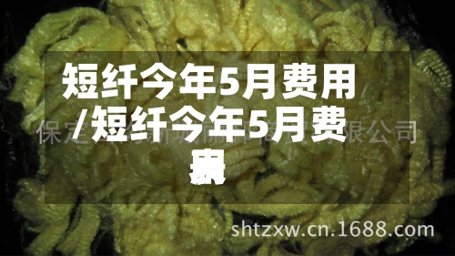 短纤今年5月费用
/短纤今年5月费用
表