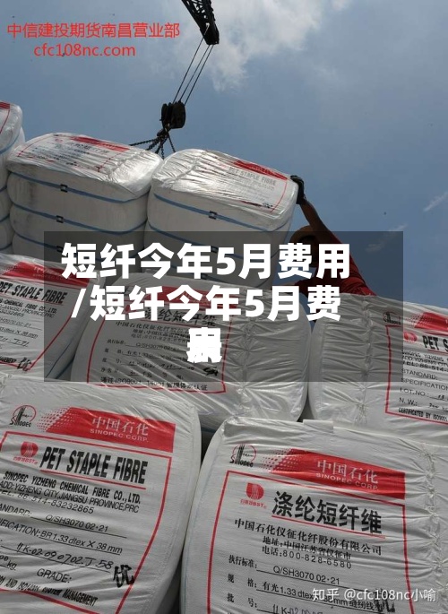 短纤今年5月费用/短纤今年5月费用表-第3张图片