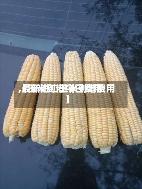 【玉米到港今日费用,最新进口玉米到港费用】-第3张图片