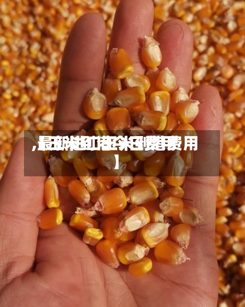 【玉米到港今日费用
,最新进口玉米到港费用
】