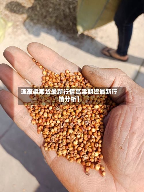 近来
【高粱期货最新行情高粱期货最新行情分析】