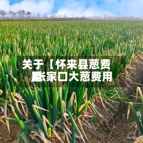 关于【怀来县葱费用,张家口大葱费用】-第2张图片