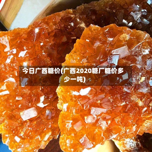 今日广西糖价(广西2020糖厂糖价多少一吨)