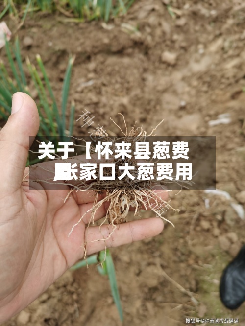 关于【怀来县葱费用
,张家口大葱费用
】