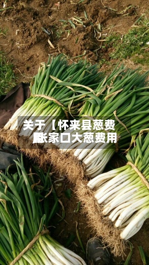 关于【怀来县葱费用,张家口大葱费用】-第3张图片