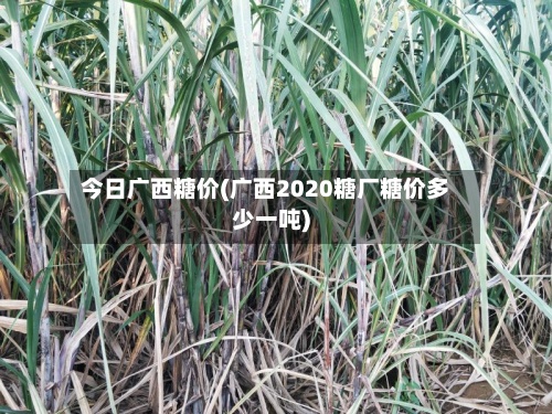 今日广西糖价(广西2020糖厂糖价多少一吨)-第2张图片