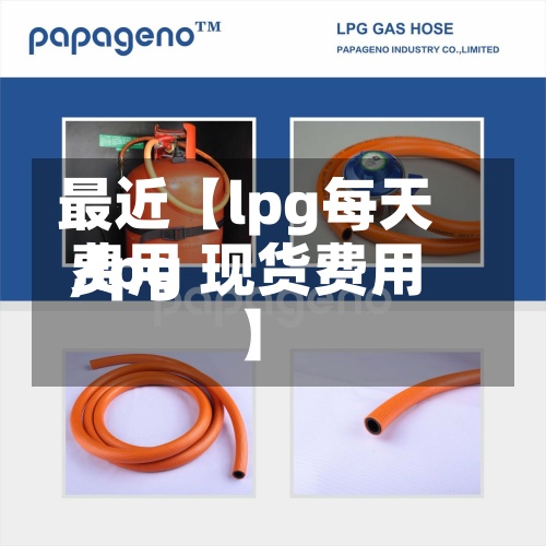 最近【lpg每天费用,lpg 现货费用】-第3张图片