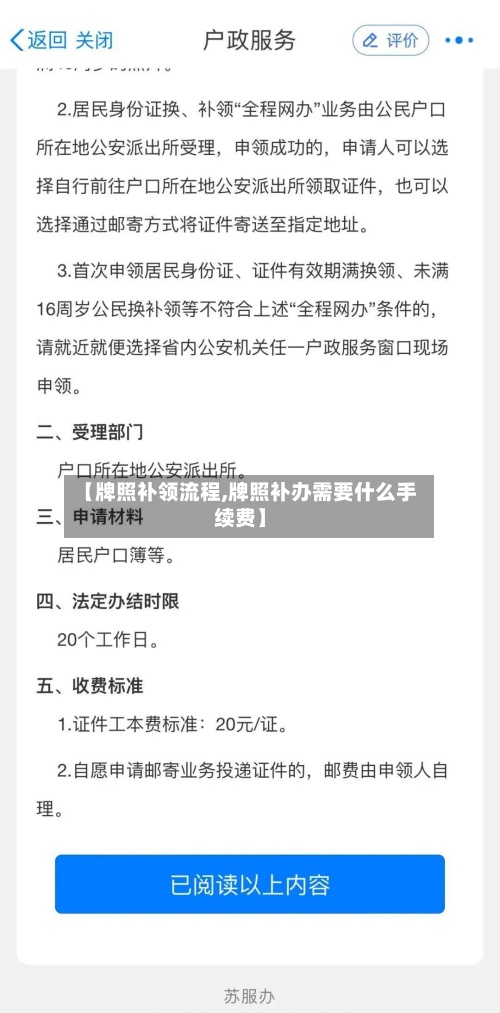 【牌照补领流程,牌照补办需要什么手续费】