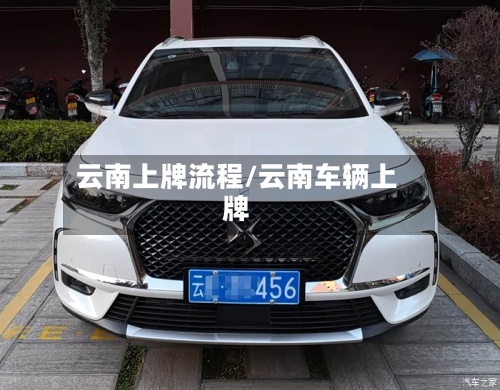 云南上牌流程/云南车辆上牌