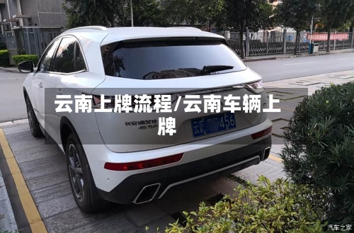 云南上牌流程/云南车辆上牌-第2张图片