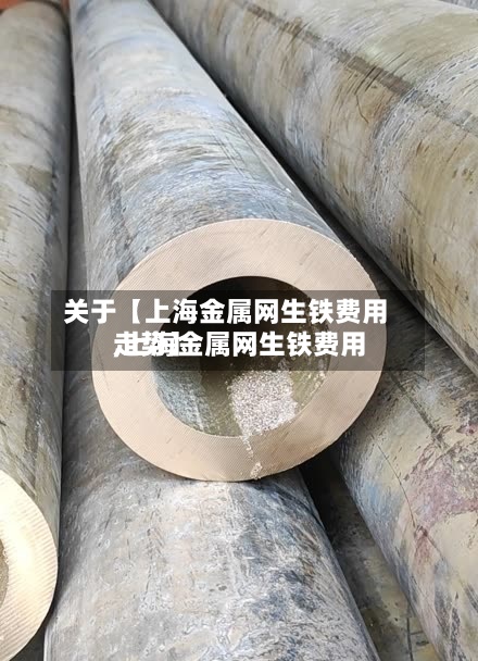 关于【上海金属网生铁费用
,上海金属网生铁费用
走势】-第2张图片