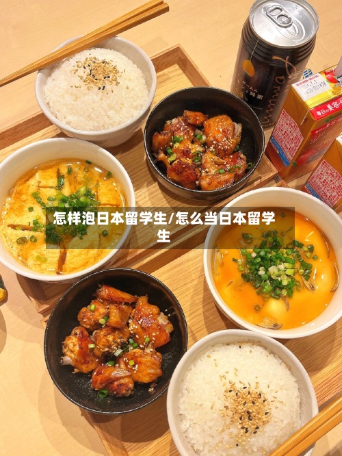 怎样泡日本留学生/怎么当日本留学生