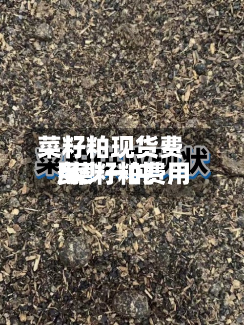 菜籽粕现货费用/菜籽粕费用多少一吨