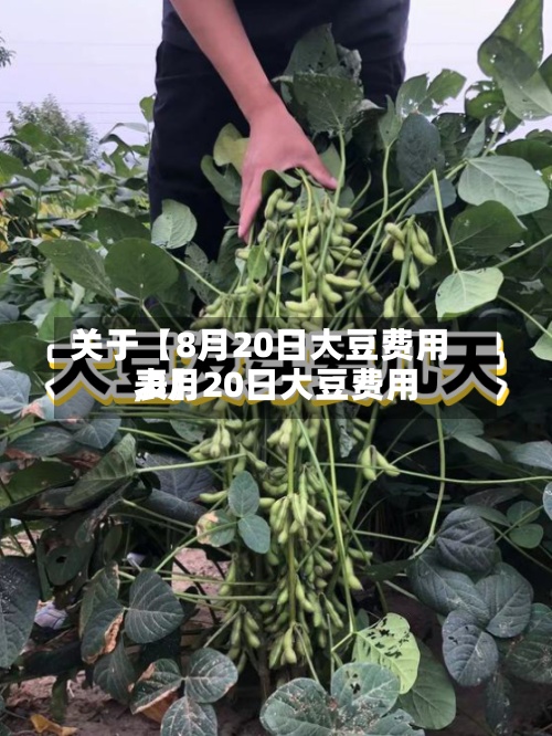 关于【8月20日大豆费用
,8月20日大豆费用
表】