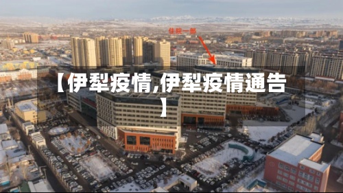 【伊犁疫情,伊犁疫情通告】-第3张图片