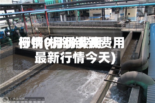 柳钢9月份费用行情(柳钢钢铁费用最新行情今天)