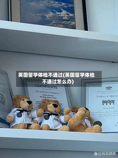 英国留学体检不通过(英国留学体检不通过怎么办)-第2张图片