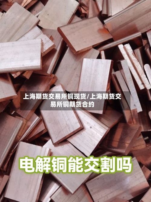 上海期货交易所铜现货/上海期货交易所铜期货合约