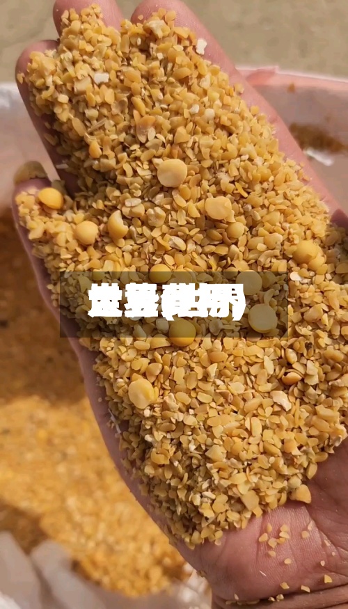 世界大豆费用走势(世界大豆费用走势分析)