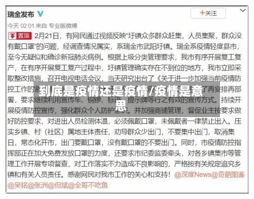 到底是疫情还是疫情/疫情是意思-第3张图片