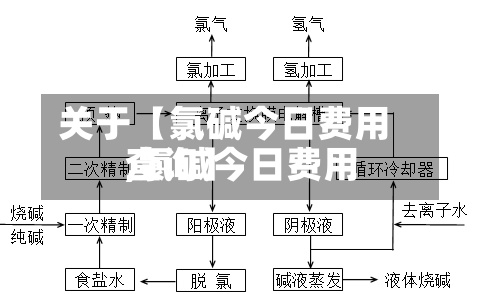 关于【氯碱今日费用
,氯碱今日费用
查询】