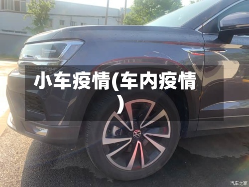 小车疫情(车内疫情)
