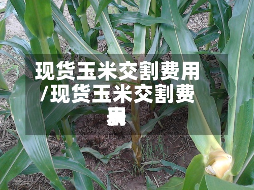 现货玉米交割费用
/现货玉米交割费用
表