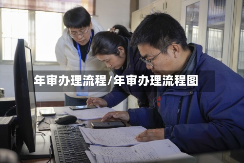 年审办理流程/年审办理流程图