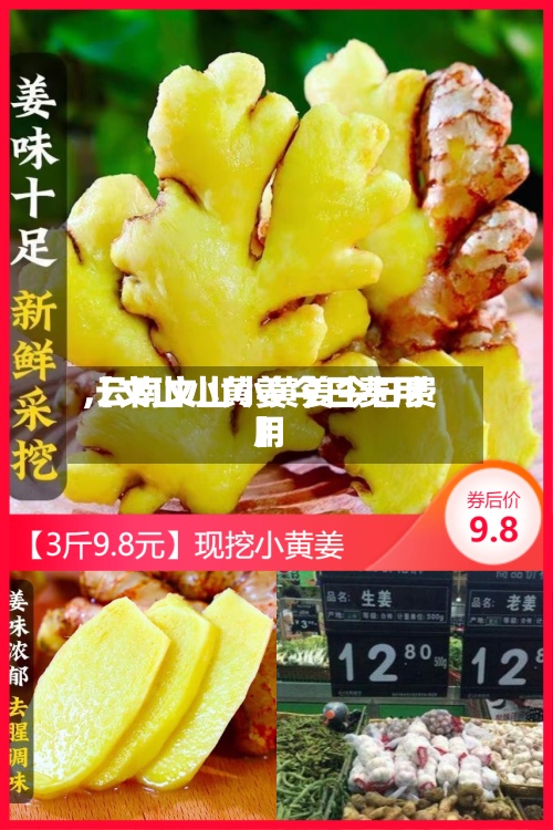 【文山小黄姜今日费用
,云南文山小黄姜今日费用
】