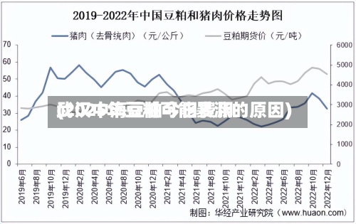武汉中海豆粕今日费用
(2025年豆粕可能暴涨的原因)