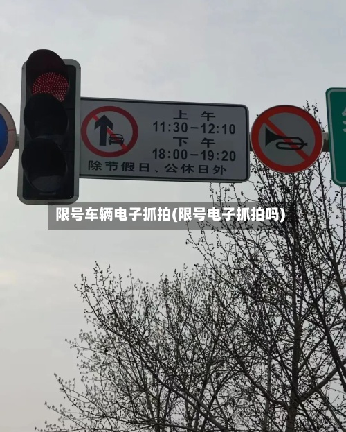 限号车辆电子抓拍(限号电子抓拍吗)