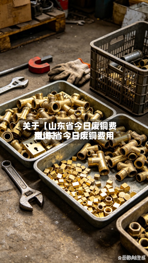 关于【山东省今日废铜费用,山东省今日废铜费用查询】-第2张图片