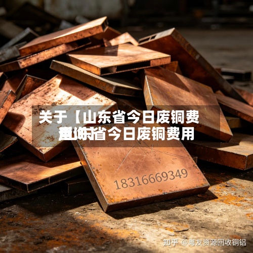 关于【山东省今日废铜费用
,山东省今日废铜费用
查询】