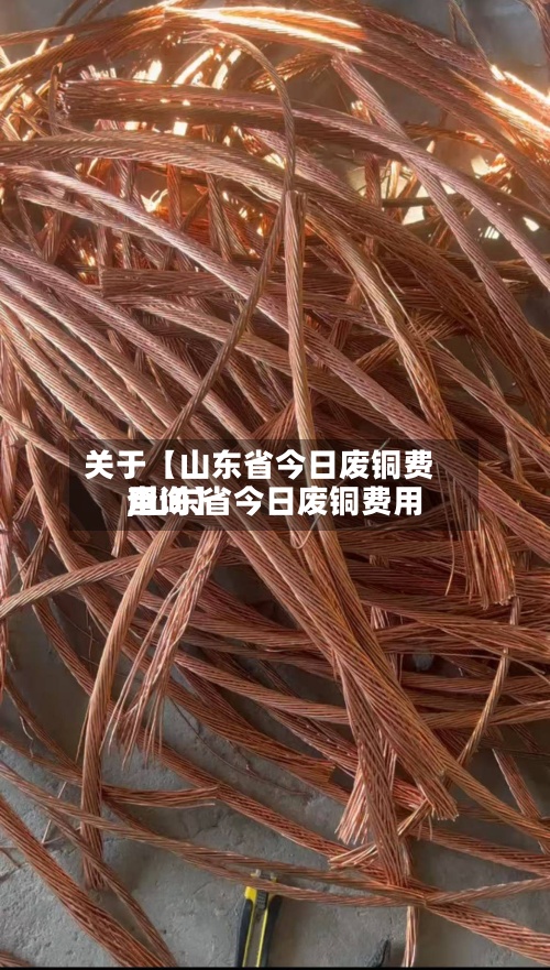 关于【山东省今日废铜费用,山东省今日废铜费用查询】-第3张图片