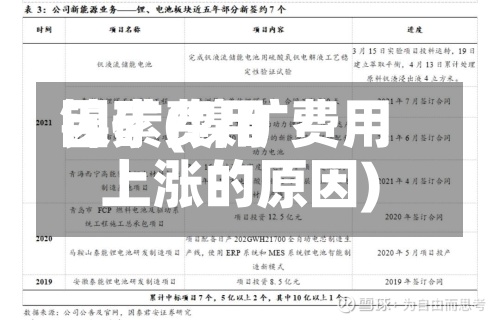镍矿费用
因素(镍矿费用
上涨的原因)